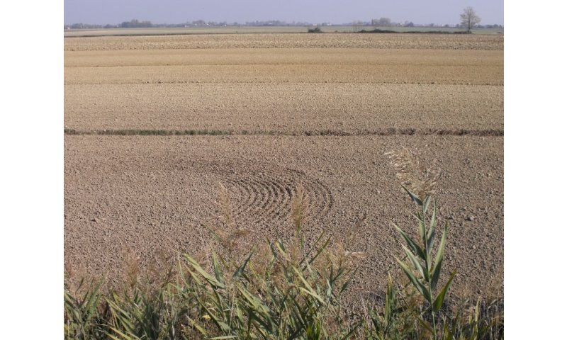 800
